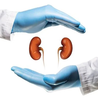 Kidney Transplant Surgery